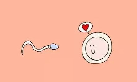 河南试管婴儿医院有哪些？河南试管婴儿医院哪里可以做