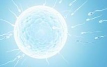 在武汉市第一医院，进行试管婴儿治疗大约需要花费多少钱呢？全面费用详解