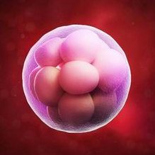 2026年清远办三代试管婴儿三代价格表