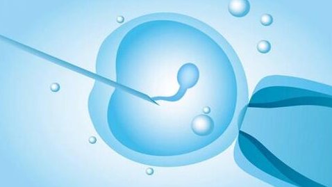 广东试管婴儿费用纳入医保倒计时？最新条件解读，何时能享报销？